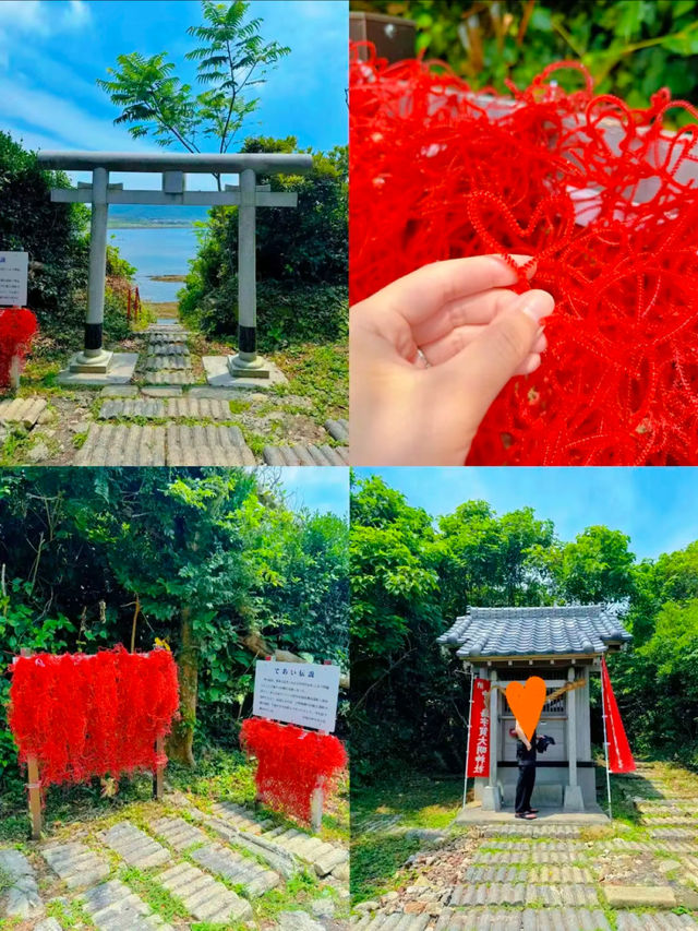 東京から2時間で行ける無人島🏝✨癒しの南国リゾート沖ノ島😎🌺【千葉】