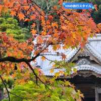 【伊豆半島】修善寺