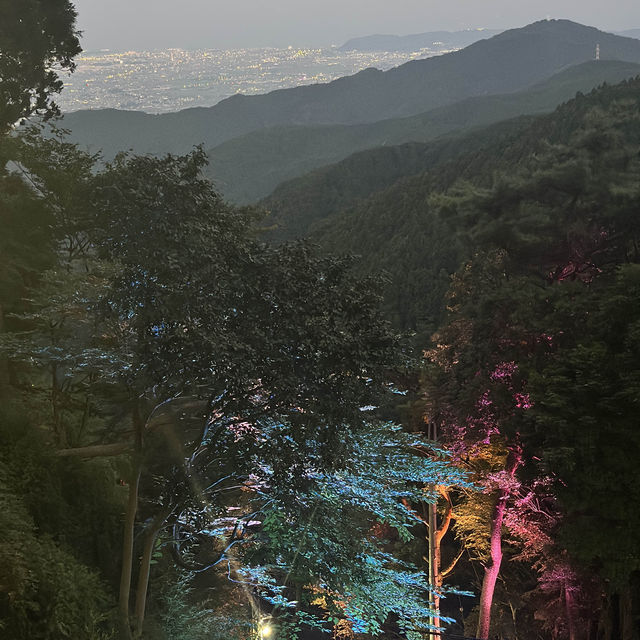 【神奈川】大山から見る夜景