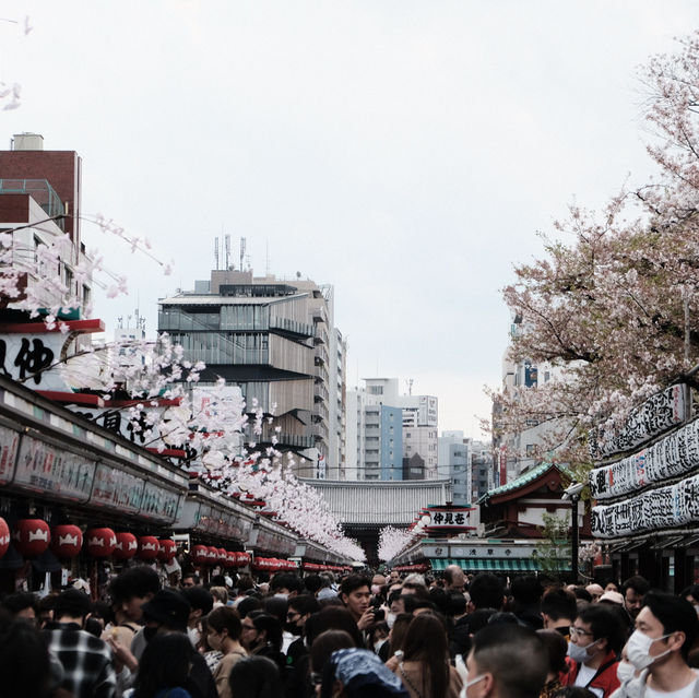 Asakusa Checklists