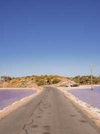 📍Rottnest Island