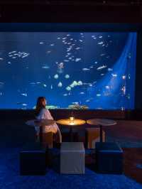 沖縄の水族館はDMM水族館がおすすめ！🐠