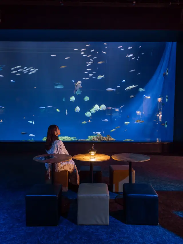 DMM水族館作為沖繩的水族箱值得推薦！ 🐠