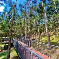 🇲🇾Taman Saujana Hijau : A Hidden Gem for Nature Lovers