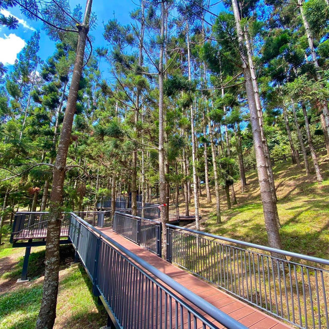 🇲🇾Taman Saujana Hijau : A Hidden Gem for Nature Lovers