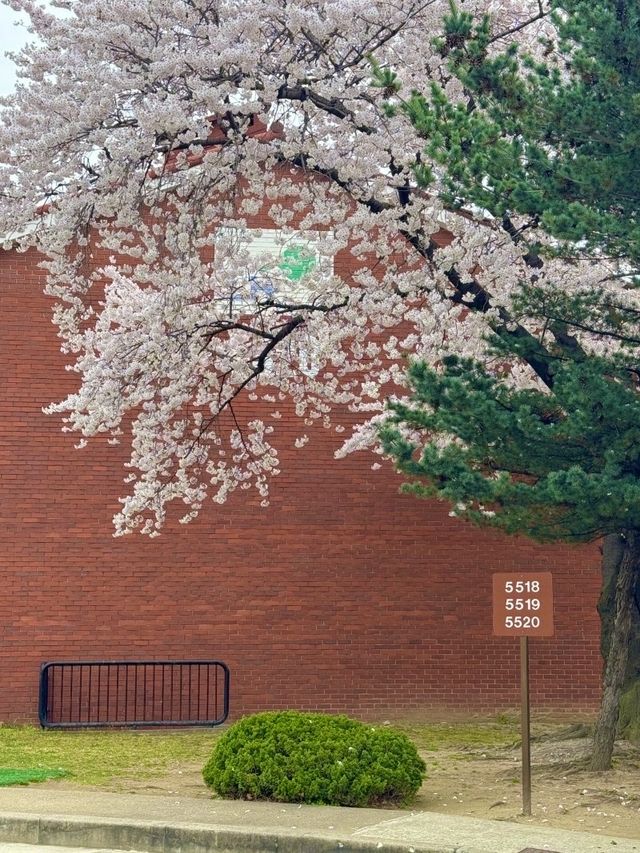 서울 포토존 명소, 용산 가볼 만한 곳 ‘용산공원’