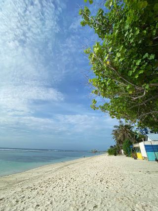 在馬爾地夫以實惠的價格旅行 