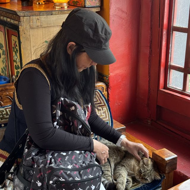 西藏八廓街咖啡館