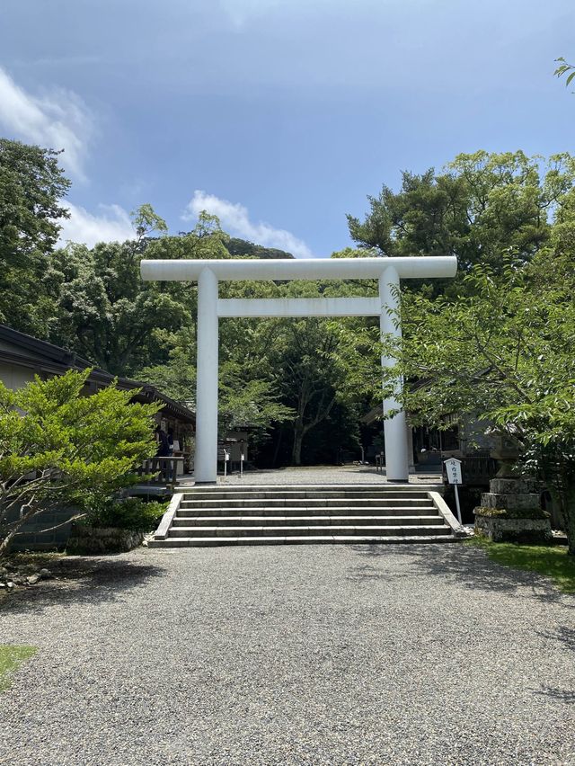 【館山】必見！日本金運3大神社の一つ