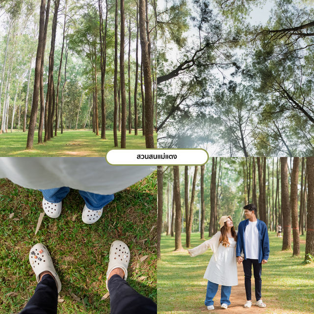 แจกพิกัด9ที่เที่ยวเชียงใหม่⛰️