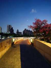 高雄 | 愛河之心的漂亮夜景