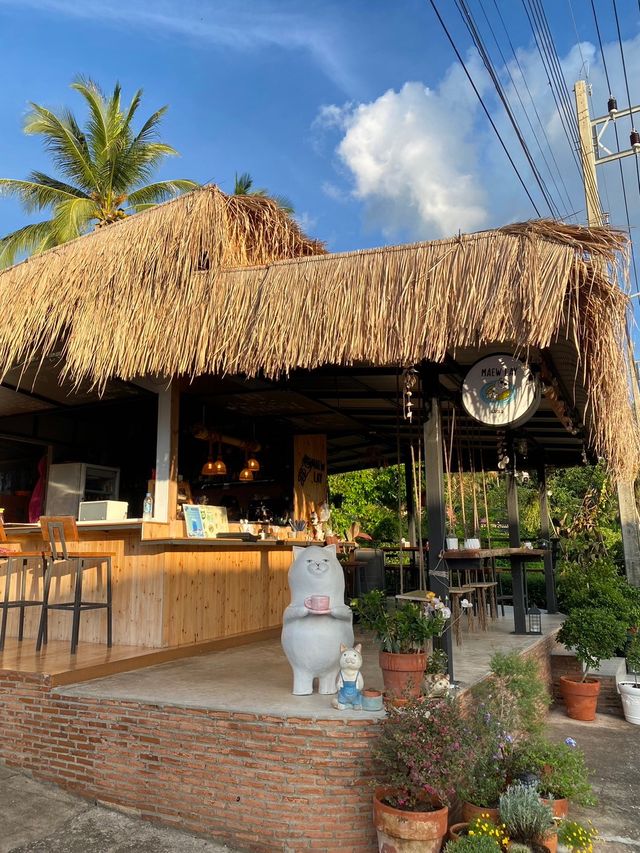 แมวเลคาเฟ่ บางสะพาน