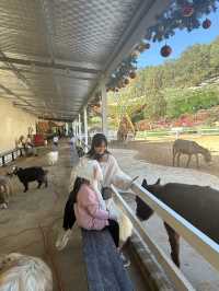 Must-Try Activities: A day at Puppy Farm