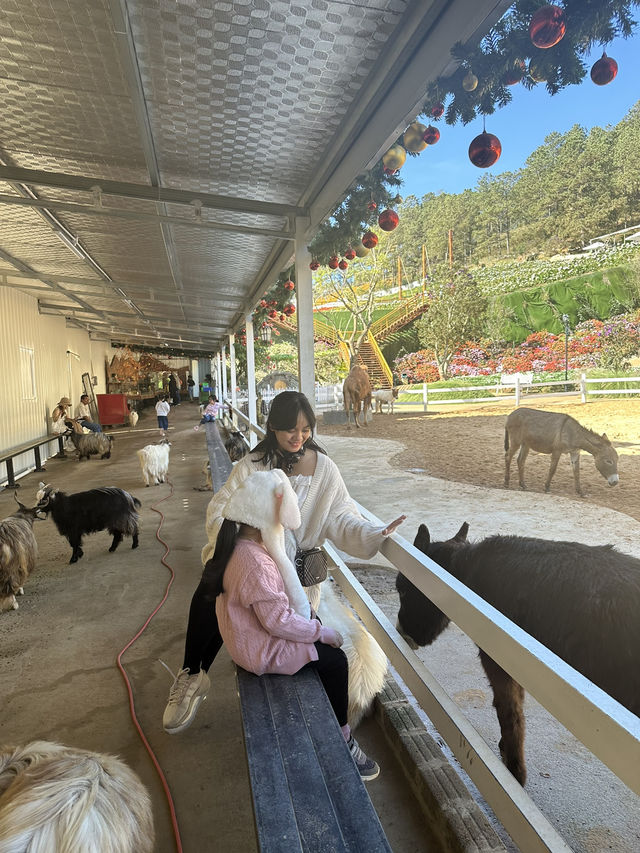 Must-Try Activities: A day at Puppy Farm