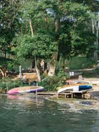 ปลาวาฬหลงทาง CAMP & CAFE' 