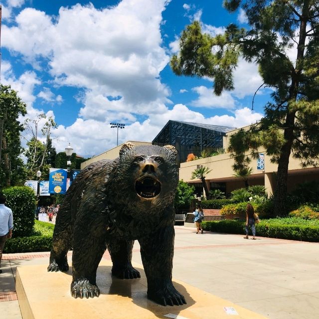 미국의 캠퍼스 생활을 느낄 수있는 , UCLA 대학교🏫