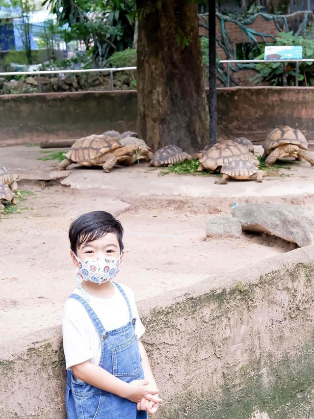 สวนสัตว์เปิดเขาเขียว จ.ชลบุรี 🦒🐘🌳 