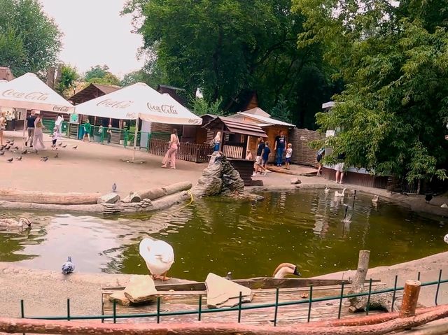 一個努力撇除蘇聯味道的動物園