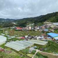 Highland Haven: Copthorne Cameron Highlands Delights
