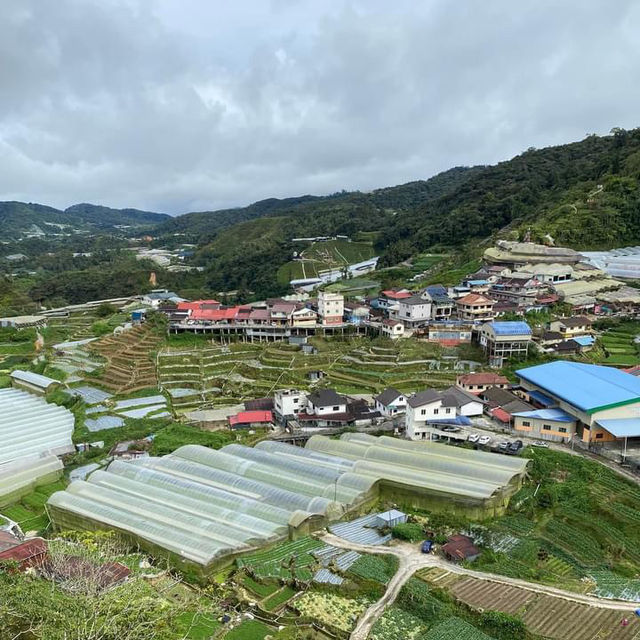 Highland Haven: Copthorne Cameron Highlands Delights