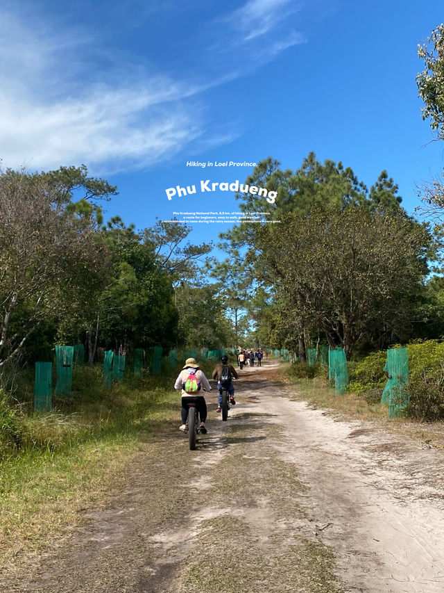เดินป่าที่ภูกระดึง | จ.เลย 🚶🏻🌿🌳🥾