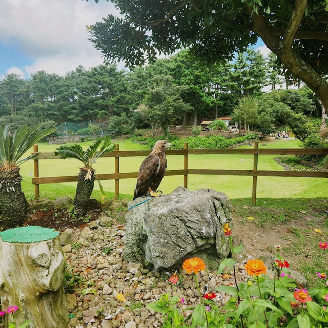 Hwajowon / Flower Bird Park