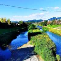 鴨川騎行