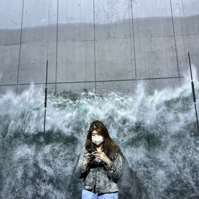 Immersive Delights at Arte M: A Serene Exploration