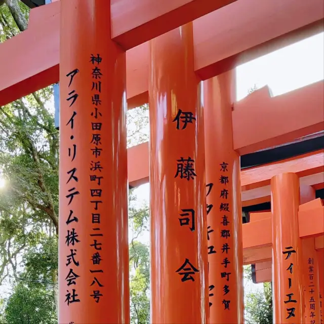 🌄🦊【京都必訪】伏見稻荷大社：千本鳥居、稻荷神與美食體驗，免費入場