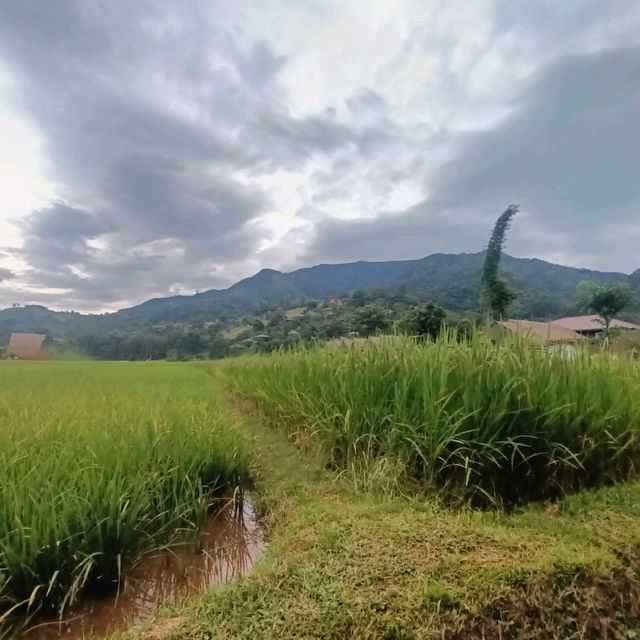 สะปันดีวิว ที่พักดีดีกลางทุ่งนา
