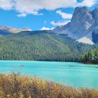 Emerald Bliss: Canada’s Hidden Gem 🇨🇦