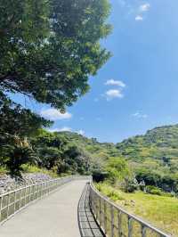 【沖縄県】大石林山でカジュアルハイキング！