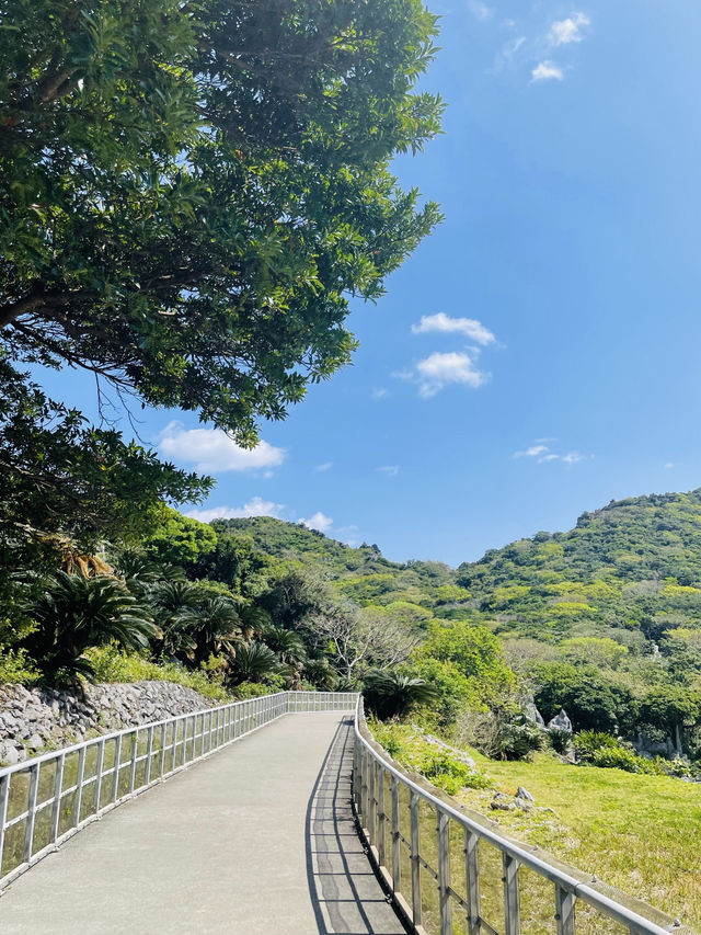 【沖縄県】大石林山でカジュアルハイキング！