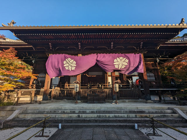 <京都 永觀堂>  🇯🇵楓葉女王的聖殿