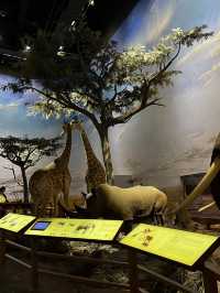 Museum ราคาดีที่ห้ามพลาดเมื่อมาเที่ยวเซี่ยงไฮ้ 🦕