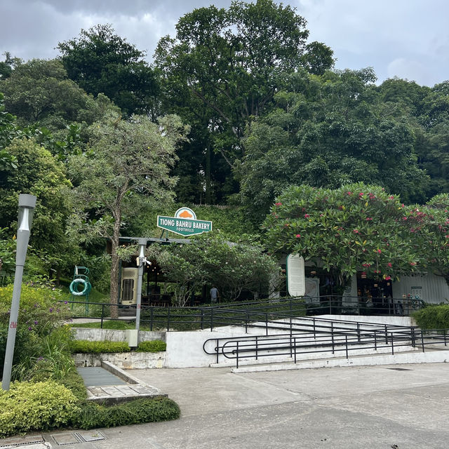 ร้านเบเกอรี่ชื่อดัง สิงคโปร์! 