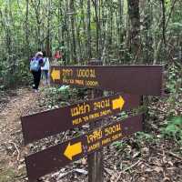 กางเต็นท์ ณ ความสูง 1200m จากระดับน้ำทะเล 🏕️ 