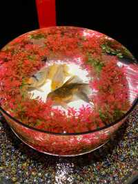 金魚×光・音・香が織りなす芸術