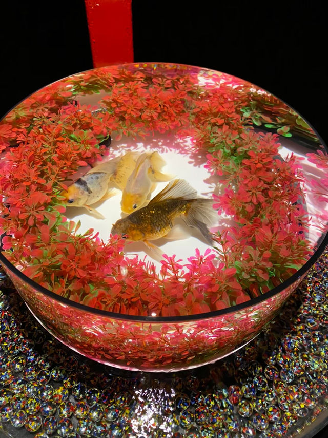 金魚×光・音・香が織りなす芸術