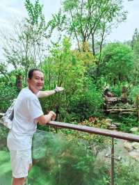Get Close with Cute Panda in Chengdu Panda Base