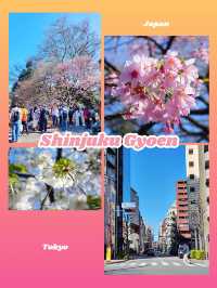 東京景點｜新宿的賞櫻地