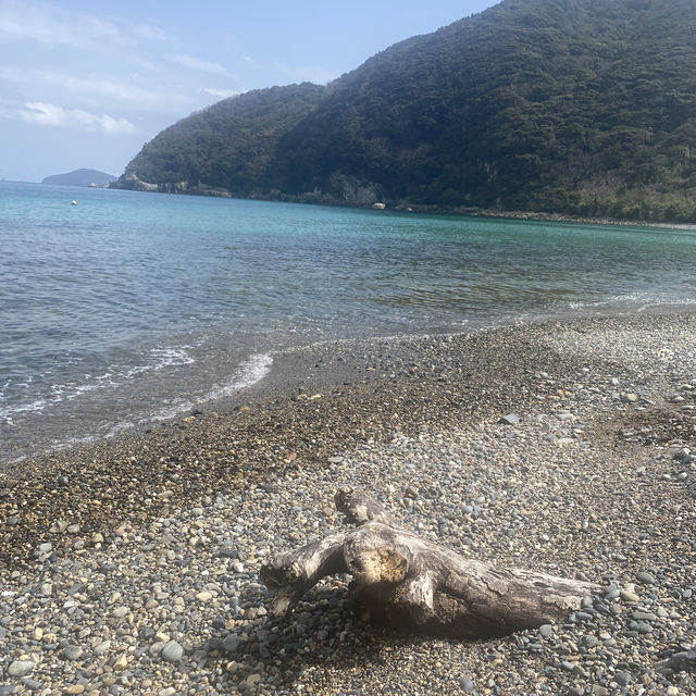 【五島列島 福江島】港まつり