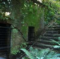 【神奈川/猿島】東京からも簡単に行ける無人島‼︎