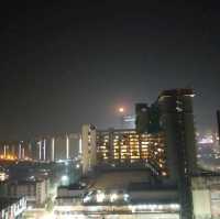 Fully Furnished Luxurious Studio Apartment in Gaur City Centre Greater Noida West 