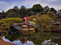 【岡山】日本三名園！秋の後楽園は紅葉が綺麗🍁