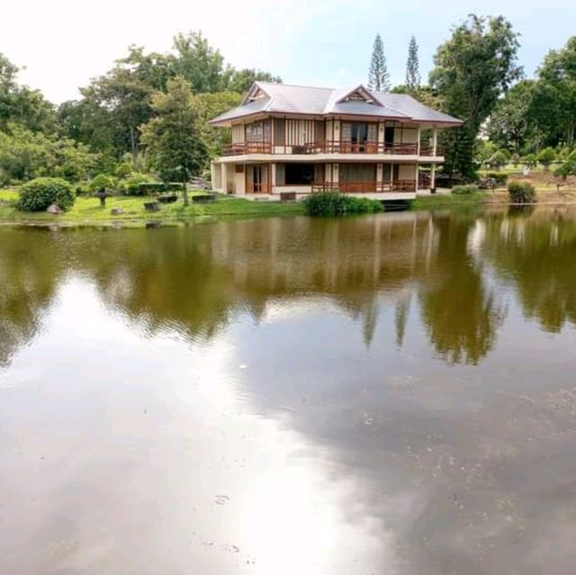 ชมสวนบอนไซใหญ่มาก ที่ราชบุรี🌳