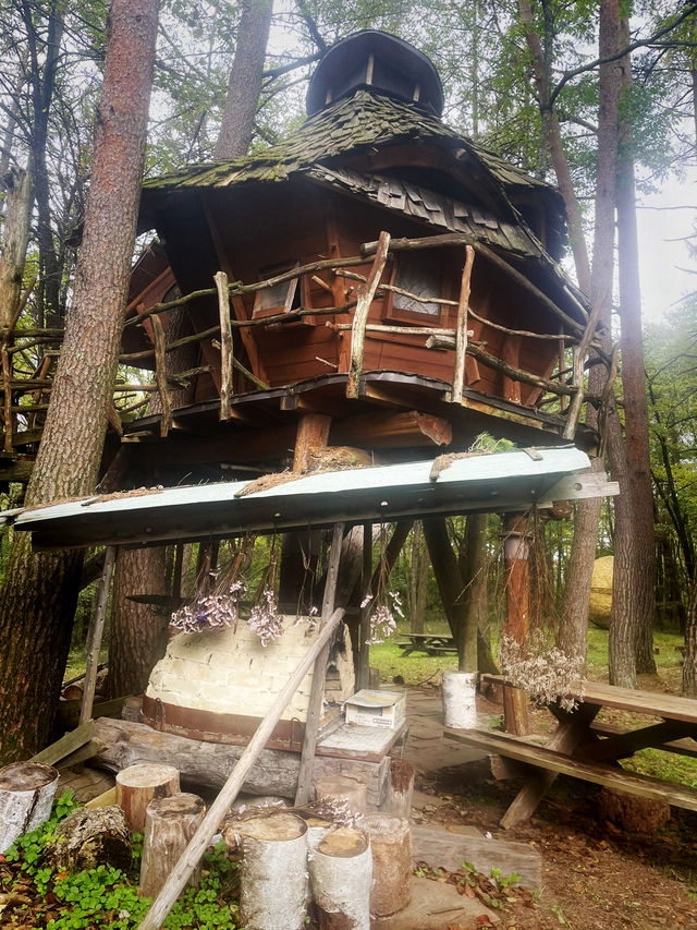 【長野県/原村　八ヶ岳の大自然を満喫！手作りハウスからオーガニック野菜まで楽しめる場所】