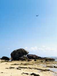 【奄美大島】大瀬海岸