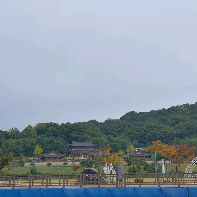 천년의 숲!!!  함양 상림 공원!!!  역사의 공원!!!