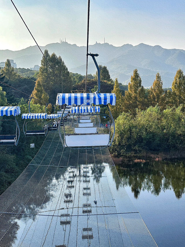 首爾大公園：城市中的自然天堂與家庭樂園🌳🎠